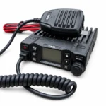 Miniatura 9